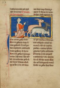 Amos and Three Goats by Unbekannt Unbekannt